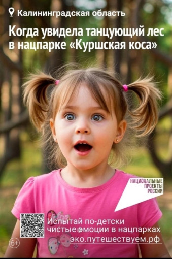 Экологические благополучие Экологические благополучие.
